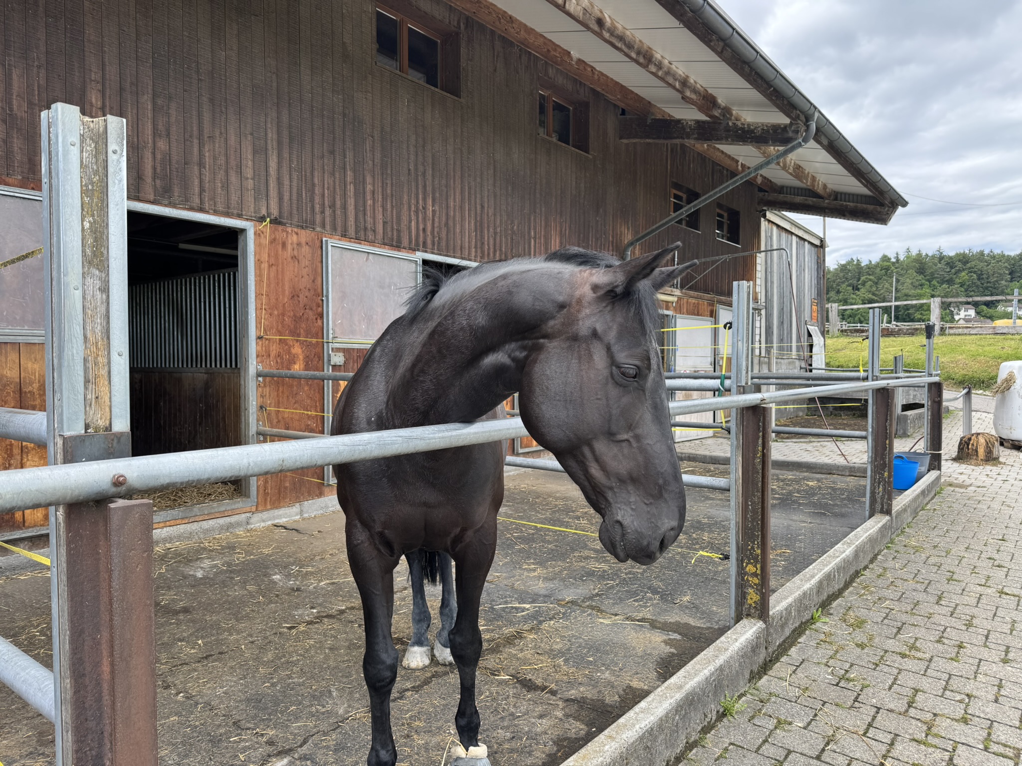 Pensionsstall